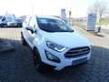 Ford EcoSport 1.0 Ecoboost Cool & Connect + Winter-Paket Blanc - thumbnail 4