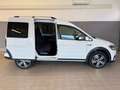 Volkswagen Caddy Caddy 2.0 TDI 4Motion Altrack Blanc - thumbnail 11