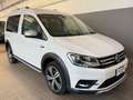 Volkswagen Caddy Caddy 2.0 TDI 4Motion Altrack Blanc - thumbnail 2