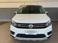 Volkswagen Caddy Caddy 2.0 TDI 4Motion Altrack Blanc - thumbnail 6