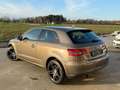 Audi A3 A3 1.2 TFSI Ambition S line Braun - thumbnail 4
