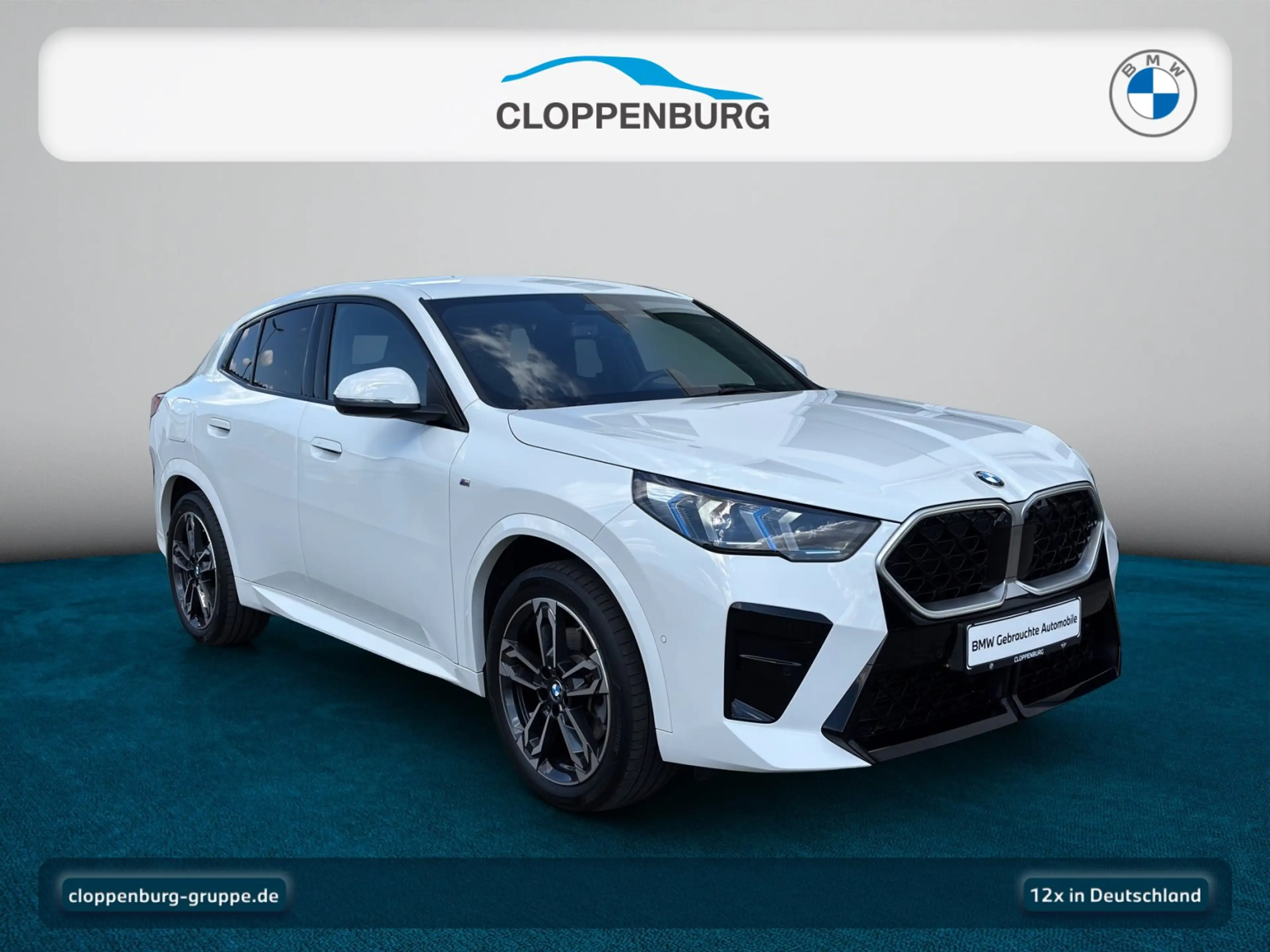 BMW X2 sDrive20i Head-Up+AHK+Navi+ACC+SHZ+KeyGO+HiFi — photo 8