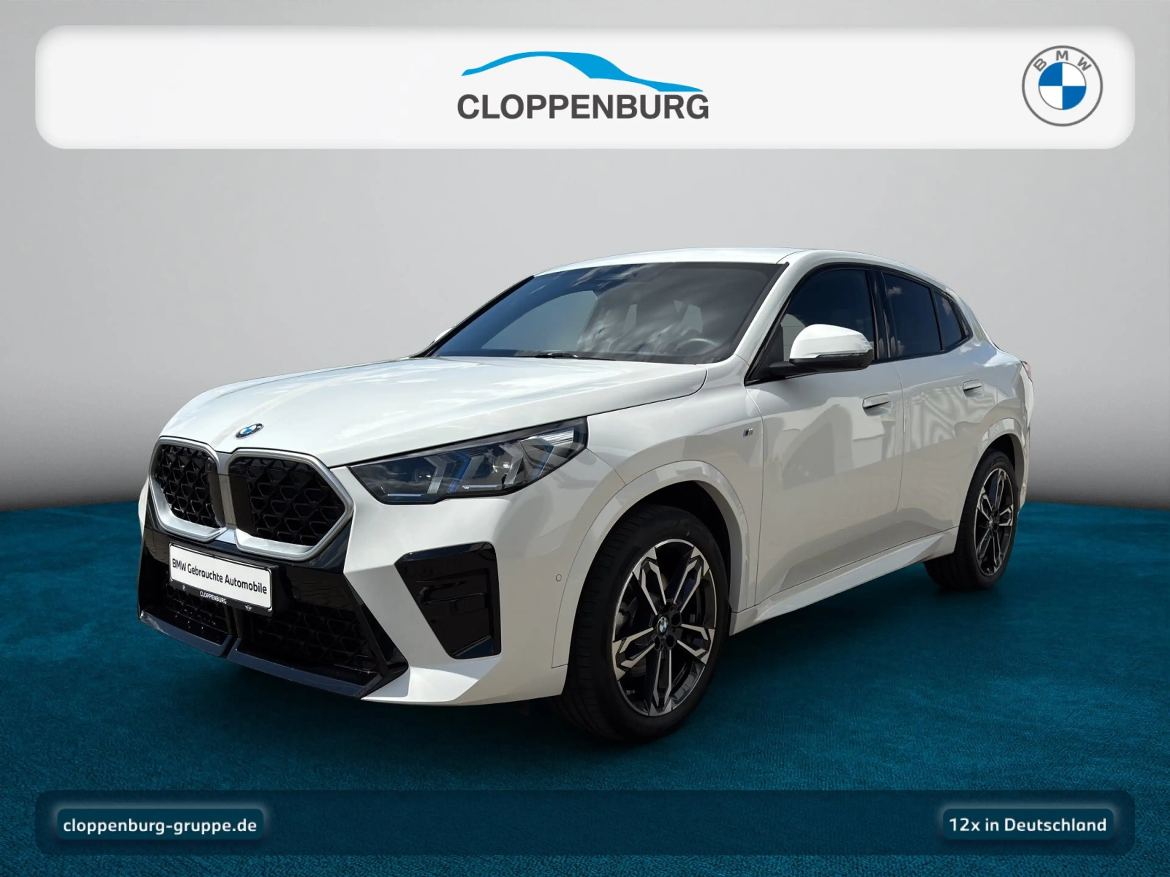 BMW X2 sDrive20i Head-Up+AHK+Navi+ACC+SHZ+KeyGO+HiFi