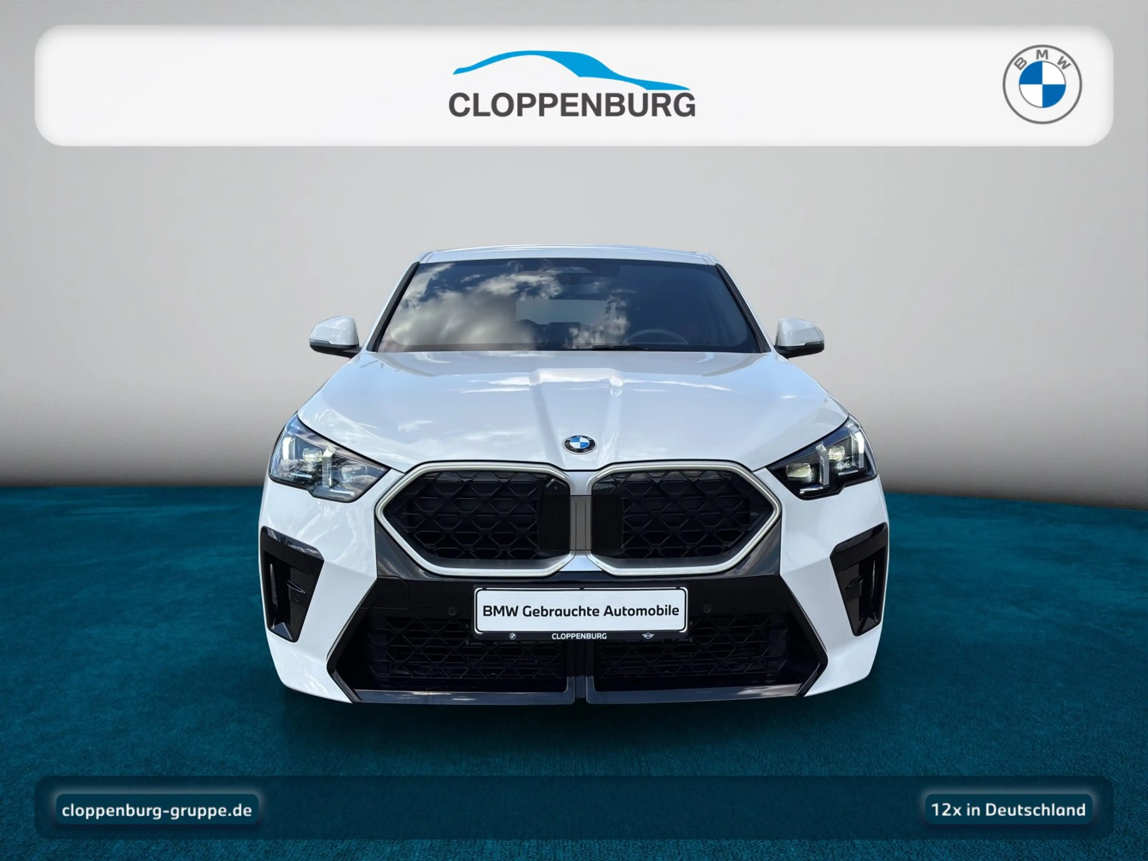 BMW X2 sDrive20i Head-Up+AHK+Navi+ACC+SHZ+KeyGO+HiFi — photo 9