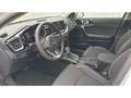 Kia Ceed SW / cee'd SW Plug-in Hybrid Spirit,TechnoP,Sitzkomfort Alb - thumbnail 13