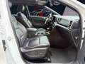 Kia Sportage GT-Line 4WD/Panorama/Sitzbelüftung Blanc - thumbnail 13