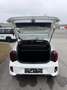 Kia Picanto Picanto Titan 1.0 GDI Weiß - thumbnail 4