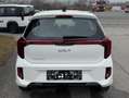 Kia Picanto Picanto Titan 1.0 GDI Weiß - thumbnail 3
