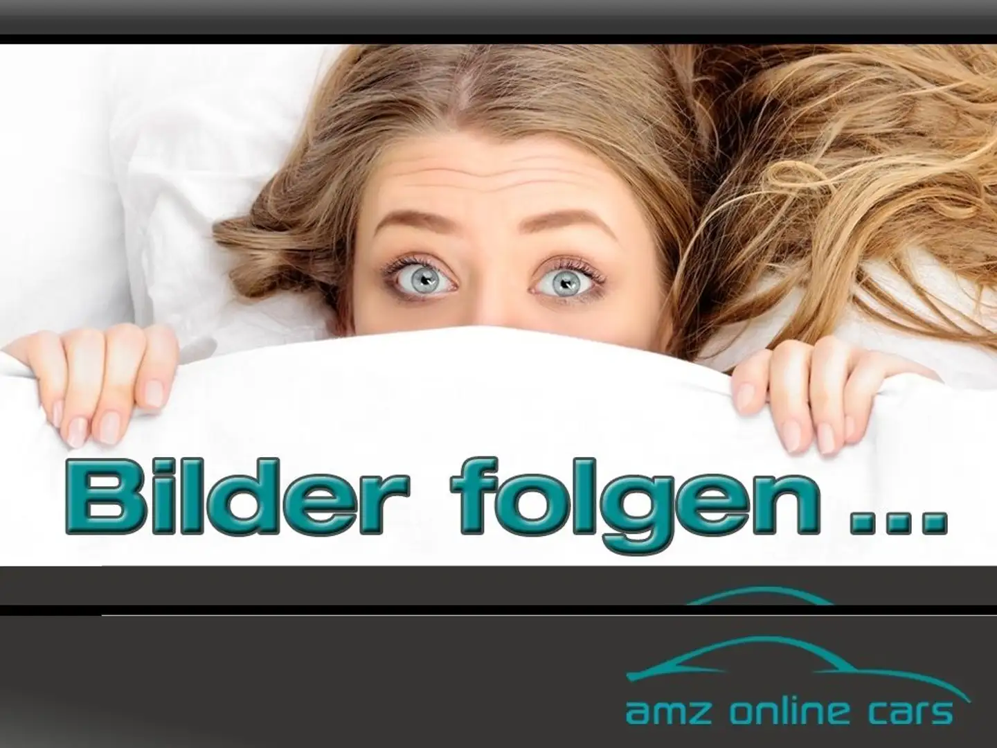 Ford Tourneo Custom Active L2 Aut. 4WD B&O Standheiz Серый - 1