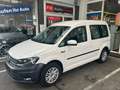 Volkswagen Caddy 2,0 TDI Trendline Klima AHK  Wildschaden* Wit - thumbnail 1