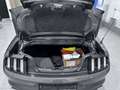 Ford Mustang 2.3i Ecoboost - Cabriolet - Topdeal! - thumbnail 11