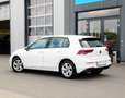 Volkswagen Golf 8 1.5 TSI Life *ACC*LED*Standheizung*Navi Weiß - thumbnail 4