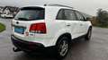 Kia Sorento 2,2 CRDi Active DPF 4WD Aut. Weiß - thumbnail 6