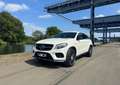 Mercedes-Benz GLE 450 GLE 450 / GLE 43 AMG 4Matic (292.364) Blanco - thumbnail 1