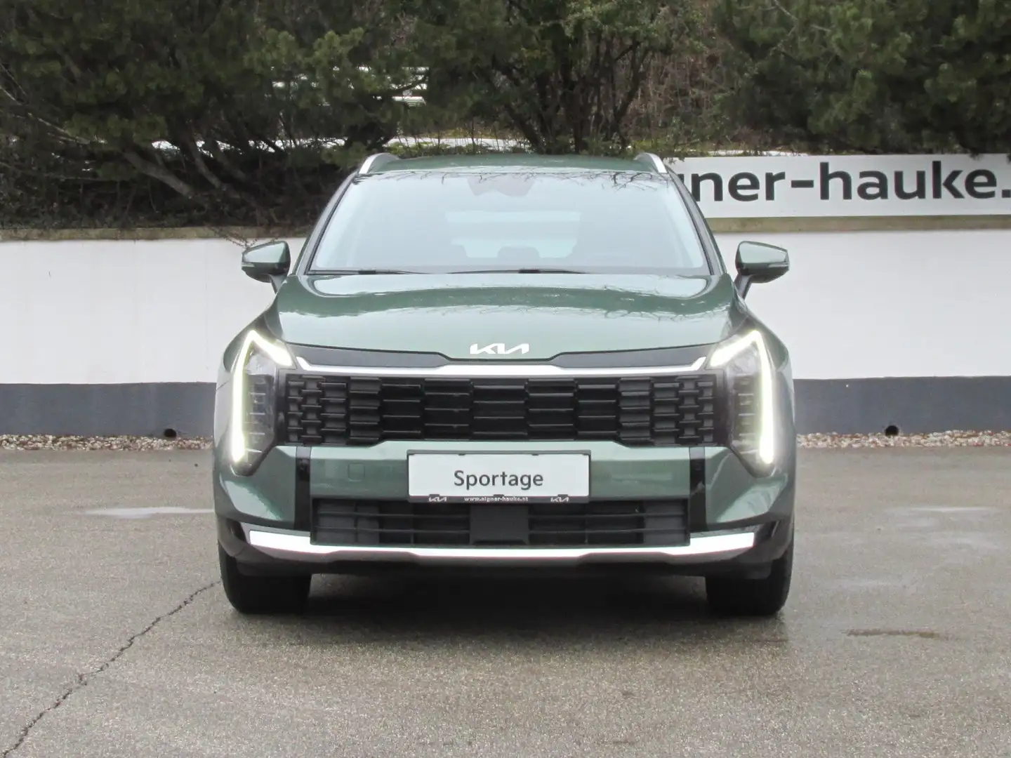 Kia Sportage Sportage 1,6 TGDI 48V DCT Gold Facelift Grün - 2