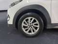 Hyundai TUCSON 1.7 CRDi XPossible Bianco - thumbnail 15