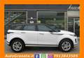 Land Rover Range Rover Evoque 2.0 D150 S AWD Auto.i4 mhev Ibrida+Pelle Weiß - thumbnail 5