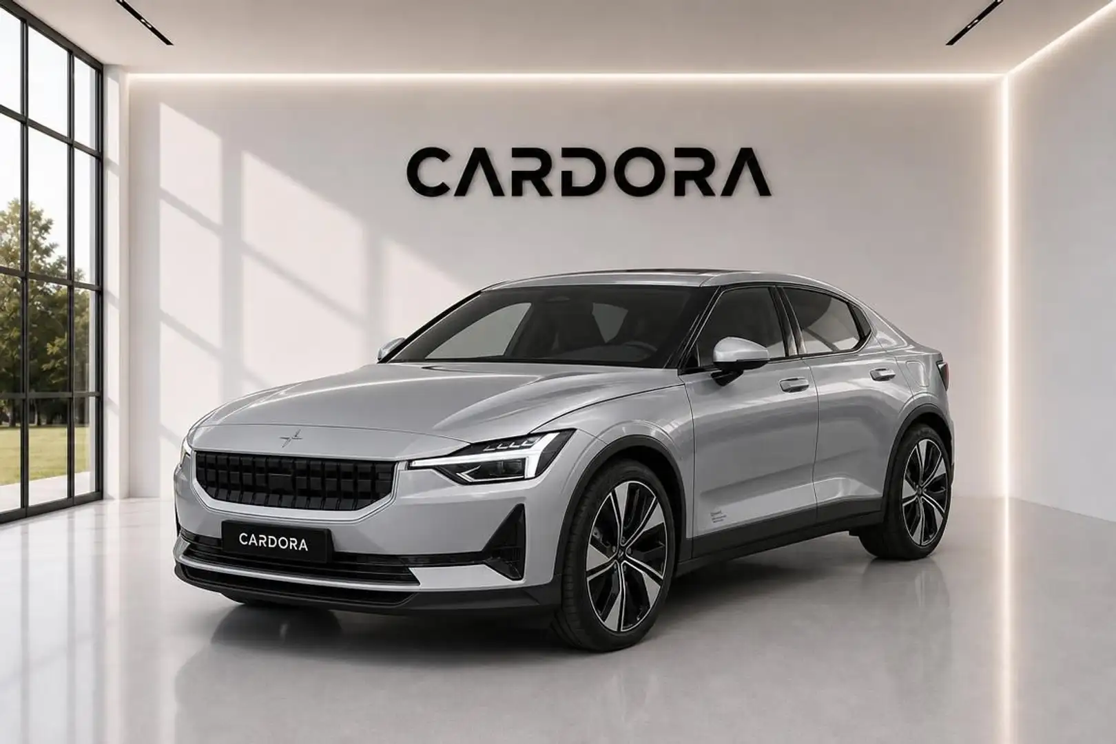 Polestar 2 Polestar 2 Long Range Dual Motor Elektro 78kWh LE Silber - 1
