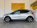 Ford Fiesta Active 1.0 Ecoboost S&S NEOPATENTATI/PREZZO REALE Zilver - thumbnail 3