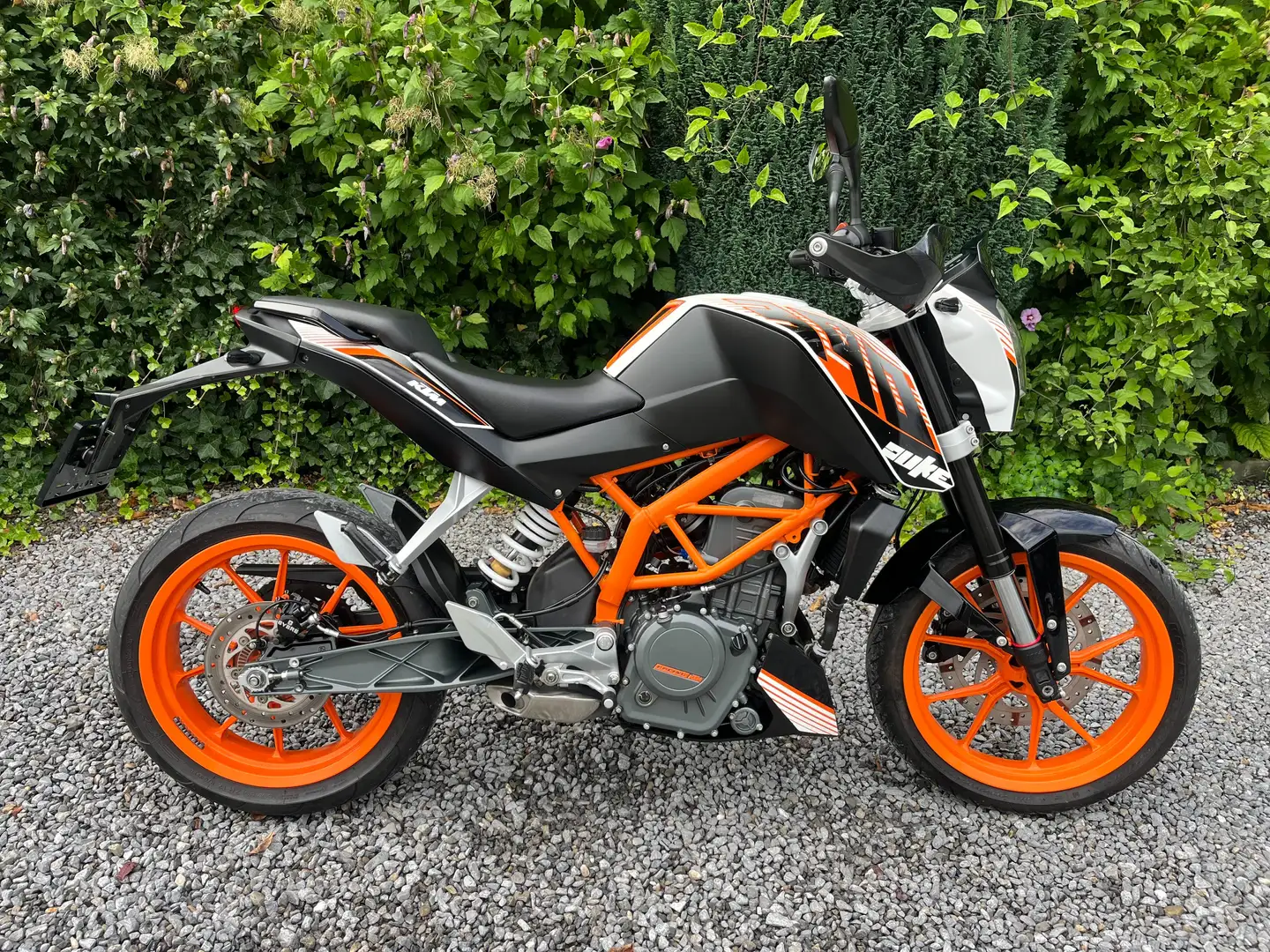 KTM 390 Duke 390 Duke Bianco - 2