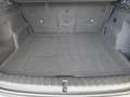 BMW iX1 xDrive30 "X Line" Vollleder/Head-Up/Komfortzugang Grün - thumbnail 19