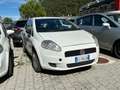 Fiat Punto g. 1.3 mjt 75cv Actual (acti) 4p.ti 3p 3052 Blanc - thumbnail 1