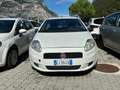 Fiat Punto g. 1.3 mjt 75cv Actual (acti) 4p.ti 3p 3052 Blanc - thumbnail 3
