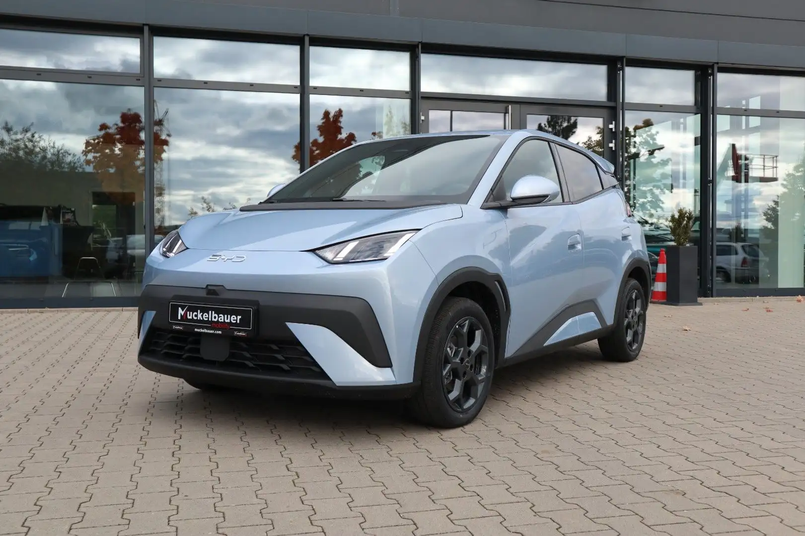 BYD Dolphin SURF Comfort 43kWh BLACK WEEK bis 30.11 Blau - 2