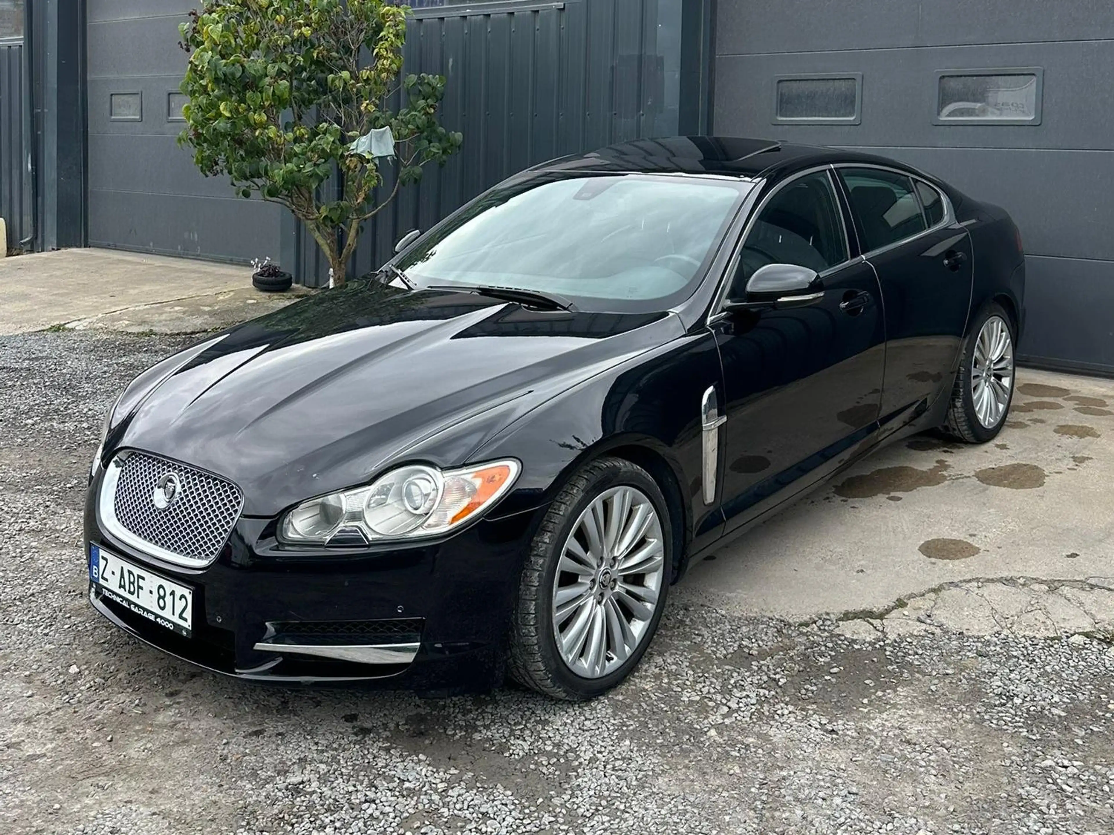 Jaguar XF XF 3.0 Turbo V6 Premium Luxury DPF