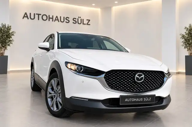 Mazda CX-3 0 Basis 2WD