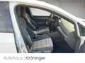 Volkswagen Golf VIII GTI 2.0 TSI DSG AHK Harman Pano Area Weiß - thumbnail 9