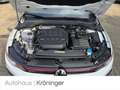 Volkswagen Golf VIII GTI 2.0 TSI DSG AHK Harman Pano Area Weiß - thumbnail 19