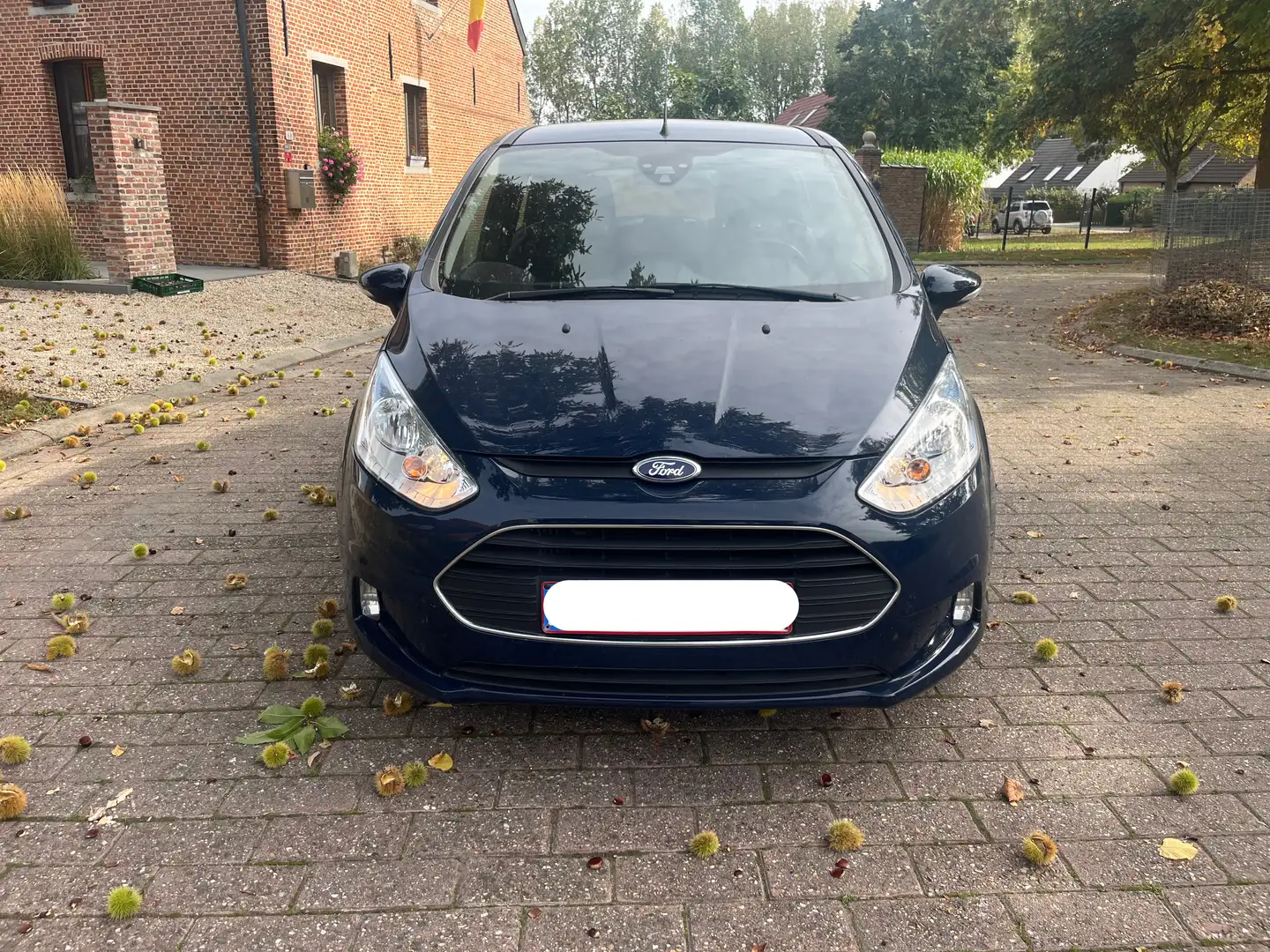 Ford B-Max 1.0 EcoBoost Blauw - 2
