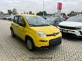 Fiat Panda 3ª serie 1.0 FireFly S&S Hybrid Geel - thumbnail 3