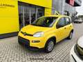 Fiat Panda 3ª serie 1.0 FireFly S&S Hybrid Geel - thumbnail 1