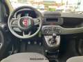 Fiat Panda 3ª serie 1.0 FireFly S&S Hybrid Geel - thumbnail 8