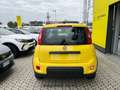 Fiat Panda 3ª serie 1.0 FireFly S&S Hybrid Geel - thumbnail 5