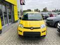 Fiat Panda 3ª serie 1.0 FireFly S&S Hybrid Geel - thumbnail 2