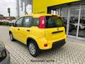 Fiat Panda 3ª serie 1.0 FireFly S&S Hybrid Geel - thumbnail 4