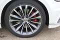 Volkswagen Passat Variant 2.0 TDI SCR 4Motion DSG (BMT) Highline Weiß - thumbnail 13