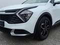 Kia Sportage 1,6 CRDI 48V Silber Weiß - thumbnail 7