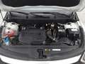 Kia Sportage 1,6 CRDI 48V Silber Weiß - thumbnail 17