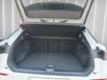 Volkswagen T-Roc NEU R-Line 1.5 l eTSI DSG,WINTERRÄD,KESSY,IQ-LIGHT Bianco - thumbnail 15