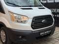 Ford Transit  2.0 TDCi 290 L2 Trend FWD (Euro 6) Weiß - thumbnail 32