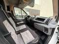 Ford Transit  2.0 TDCi 290 L2 Trend FWD (Euro 6) Weiß - thumbnail 18