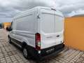 Ford Transit  2.0 TDCi 290 L2 Trend FWD (Euro 6) Weiß - thumbnail 36