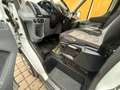 Ford Transit  2.0 TDCi 290 L2 Trend FWD (Euro 6) Weiß - thumbnail 12