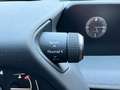 Lexus UX 250h Leder Braun Kamera Abstand Keyless-GO Grün - thumbnail 21