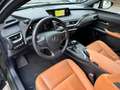 Lexus UX 250h Leder Braun Kamera Abstand Keyless-GO Groen - thumbnail 10
