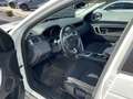 Land Rover Discovery Sport 2.0 TD4 150 CV SE Wit - thumbnail 15